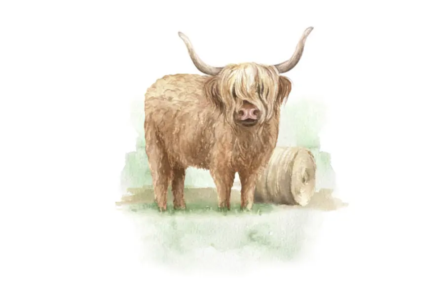 Schotland
