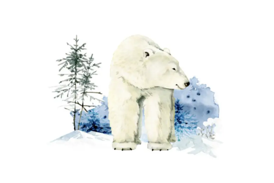 Spitsbergen