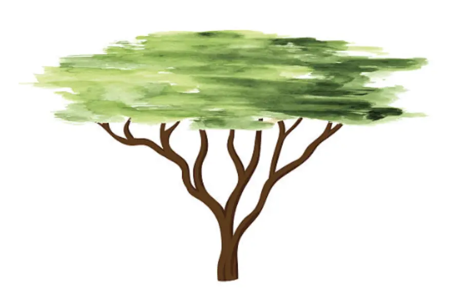 Tanzania