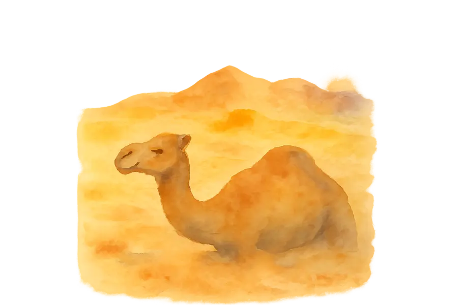 Illustratie Jordanie