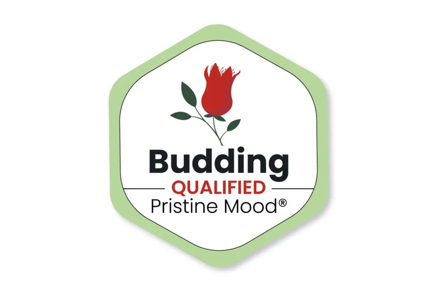 Pristine Mood Stamp Budding Qualified