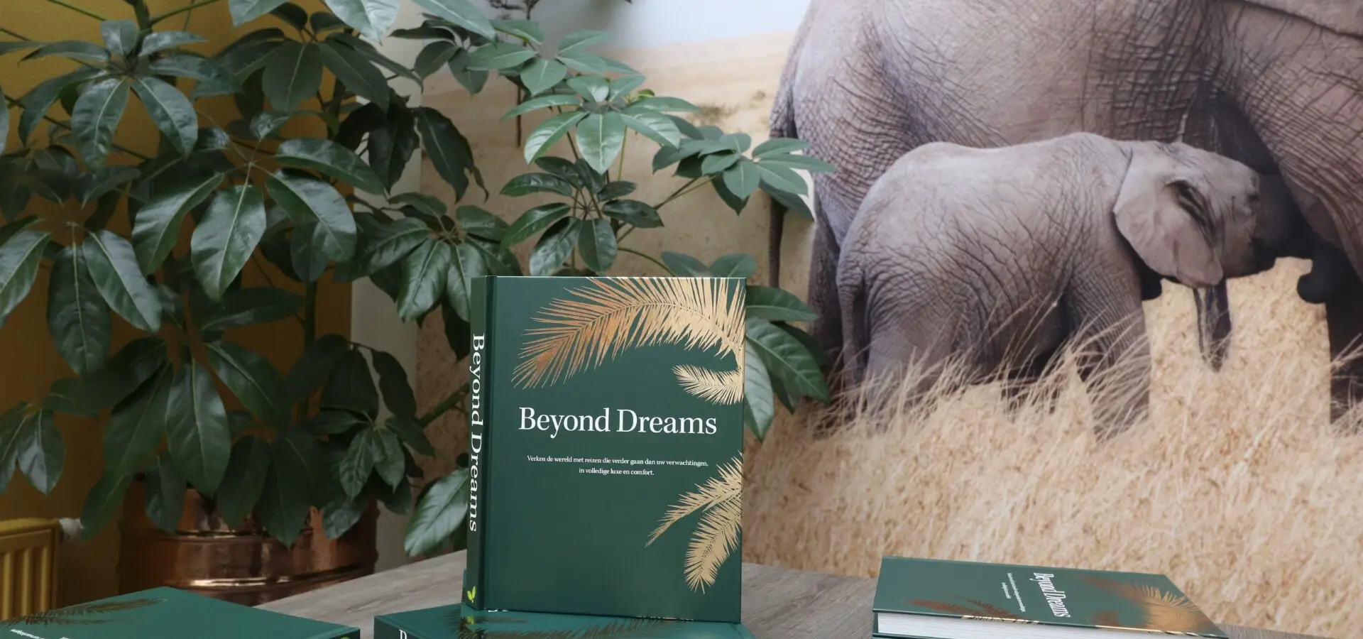 Avila Reizen Avila Academy Latijns Amerika Beyond Dreams