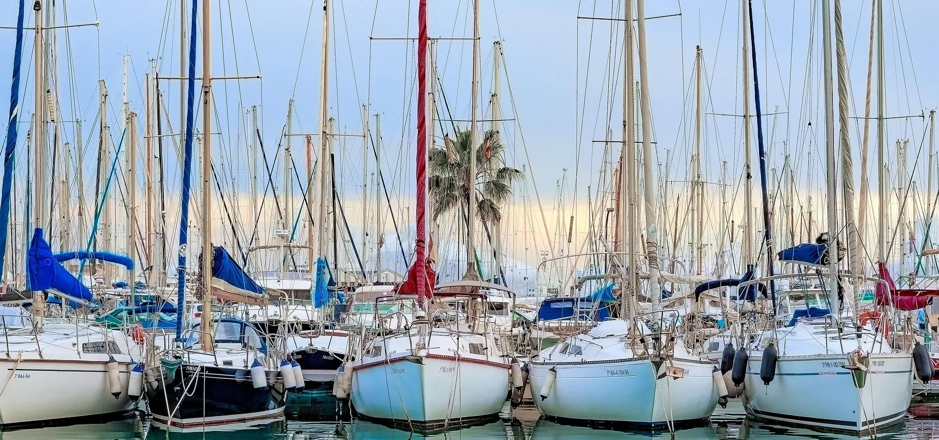 Avila Reizen Mallorca bootjes in haven