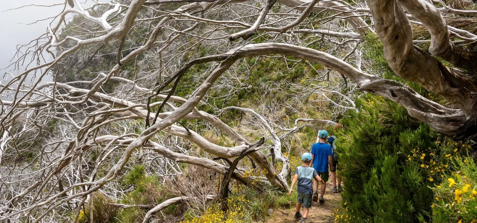 Avila Reizen kinderen aan het wandelen familiereizen