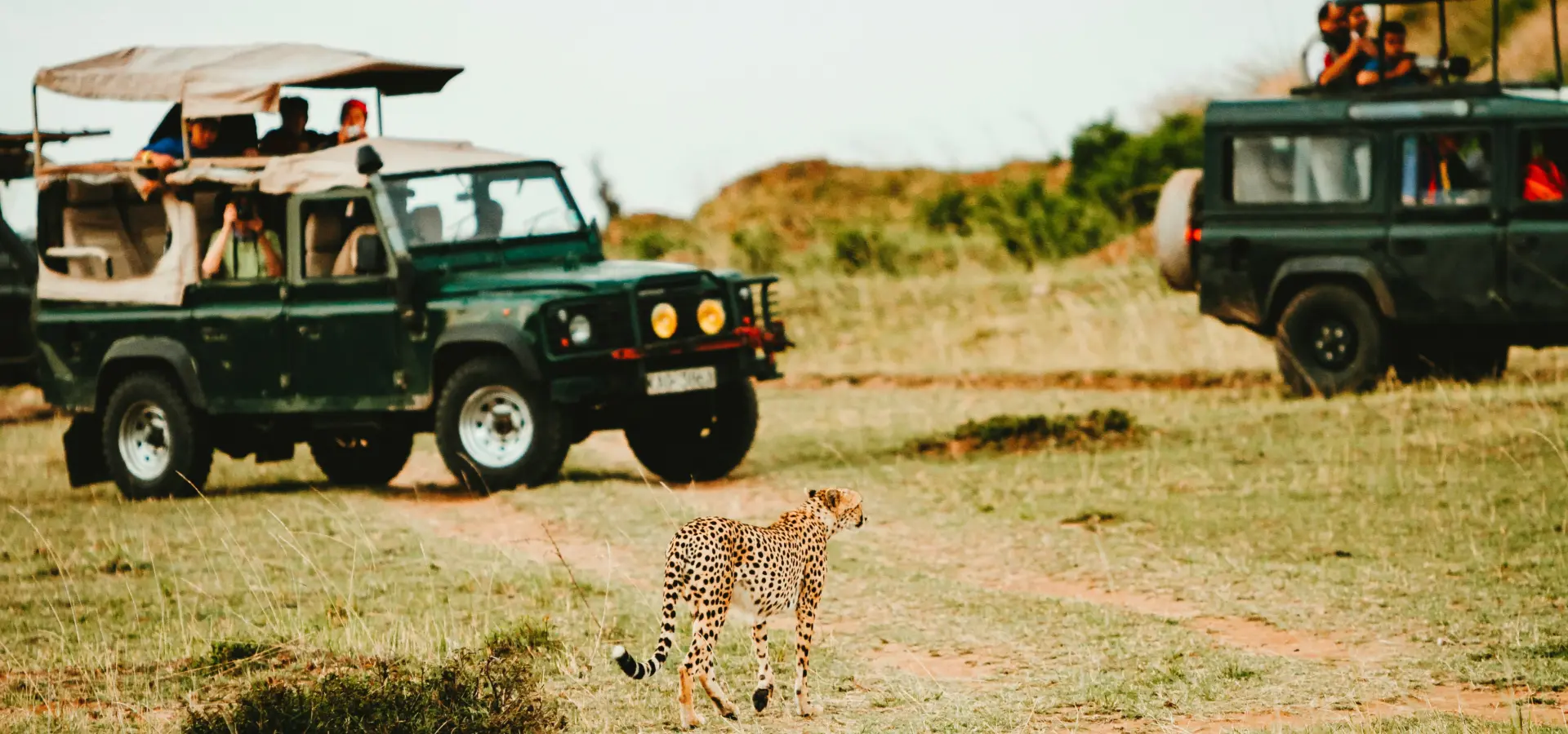 Avila Reizen Afrika jeep safari