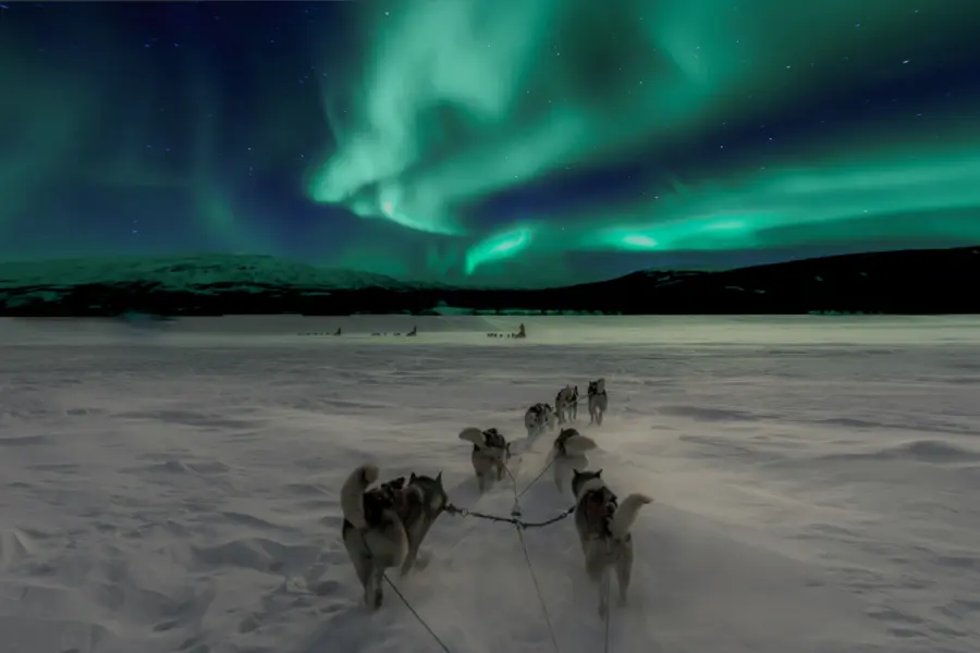 Avila Reizen Noorwegen huskytocht met noorderlicht