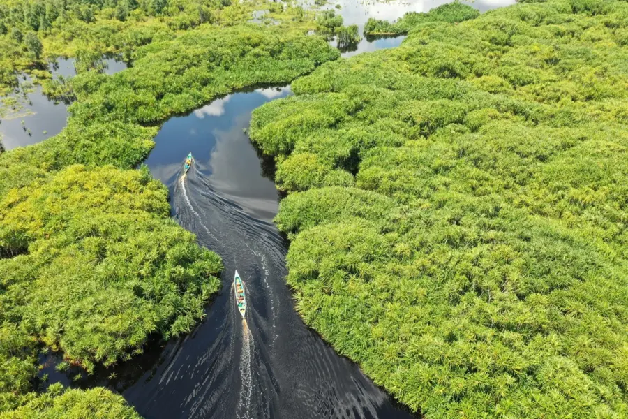 Avila Reizen Indonesië Kalimantan Kereng Bangkirai