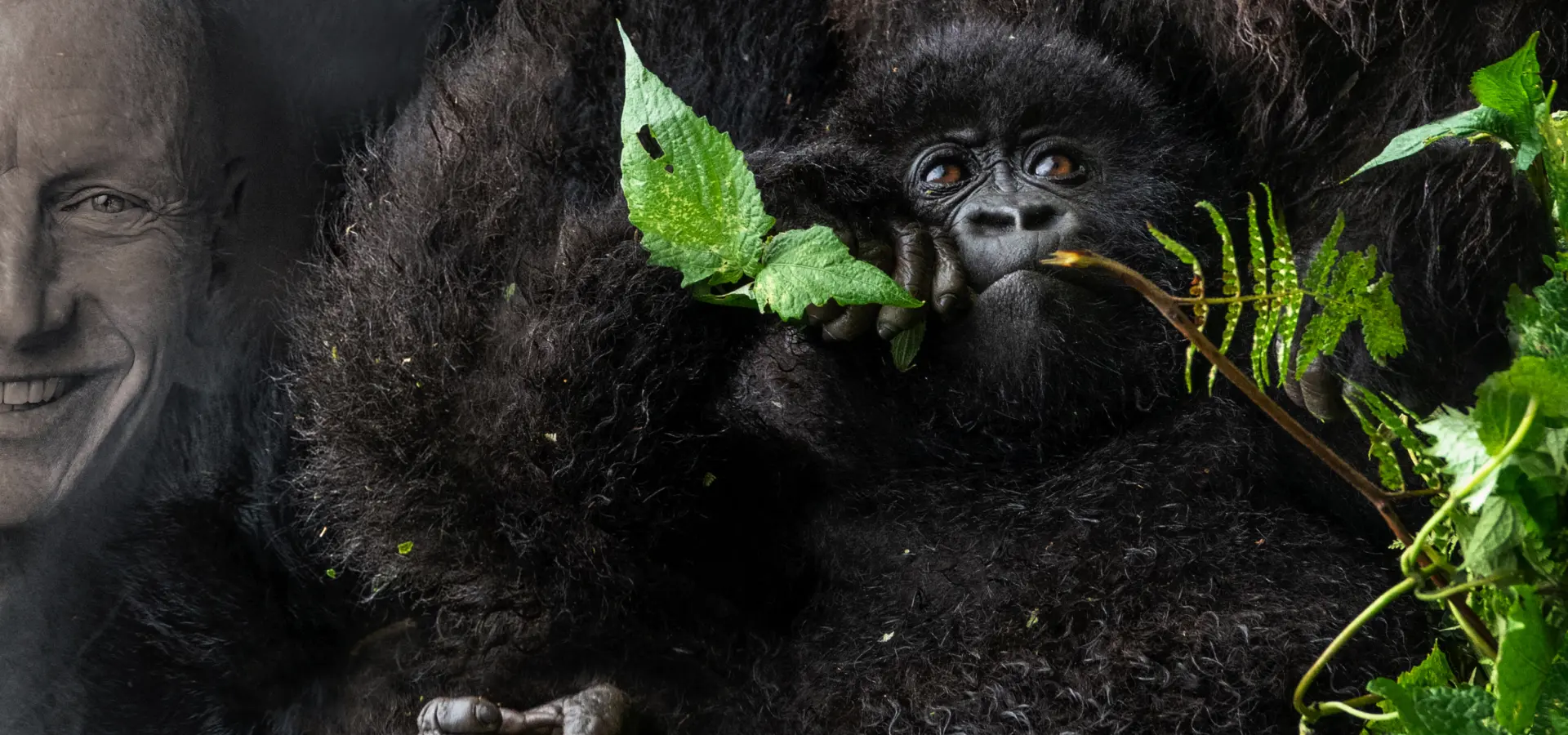 Avila Reizen Jimmy Nelson