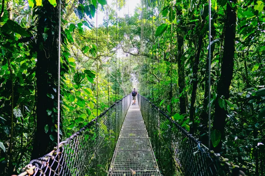 Avila Reizen Costa Rica hanging bridge