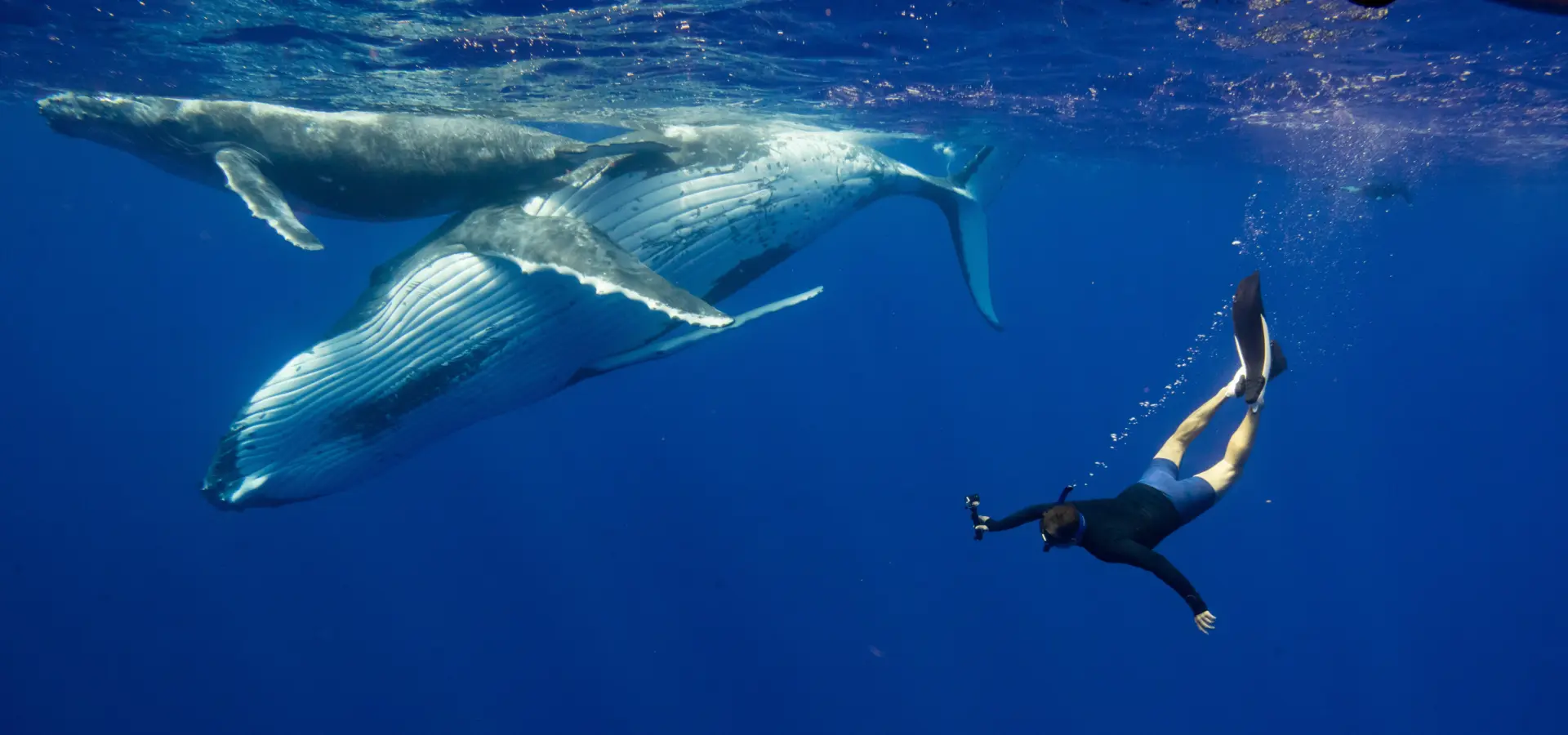 Personl PERSONAL G Underwater COOK Islands 2023 DSC00477 min