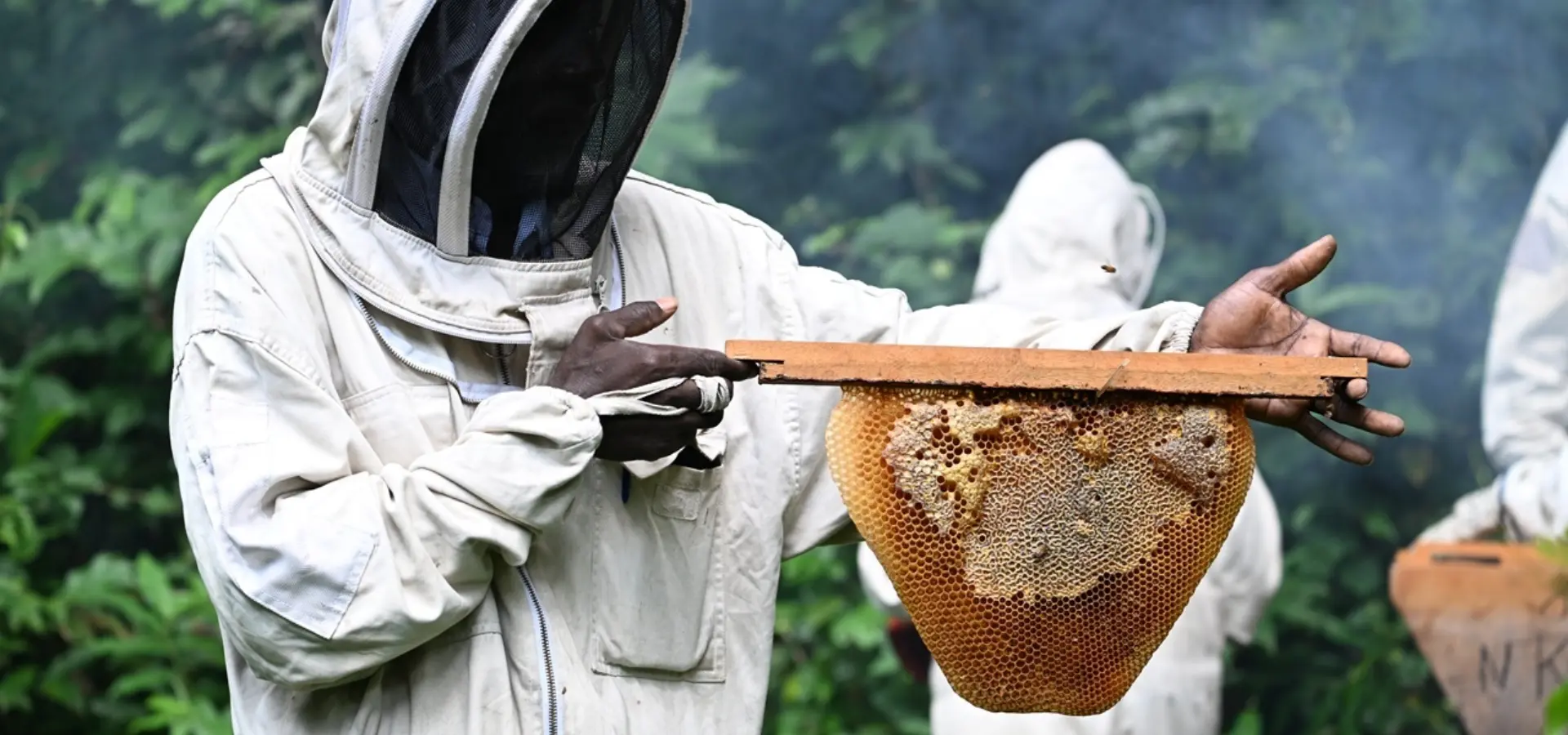 Avila Reizen Gabon WWF expeditie beekeeping