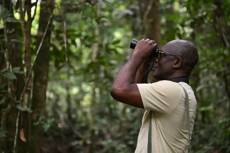 Avila Reizen Gabon WWF expeditie gids met verrekijker