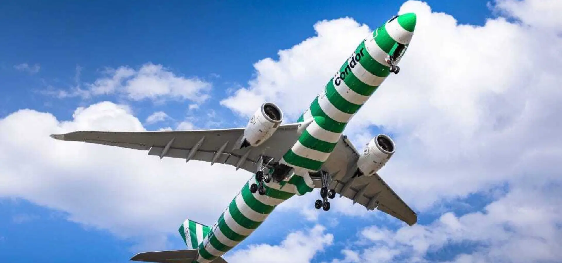 Avila Reizen Mexico Baja California Sur Vlucht met condor blog Ilse