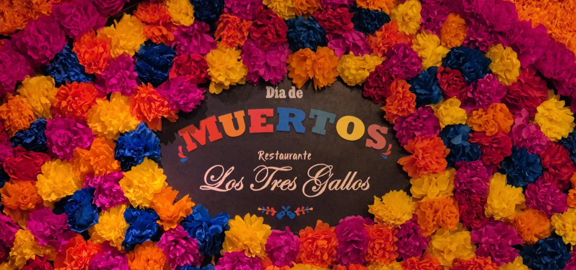 Avila Reizen Mexico Baja California Sur Tres Gallos blog Ilse