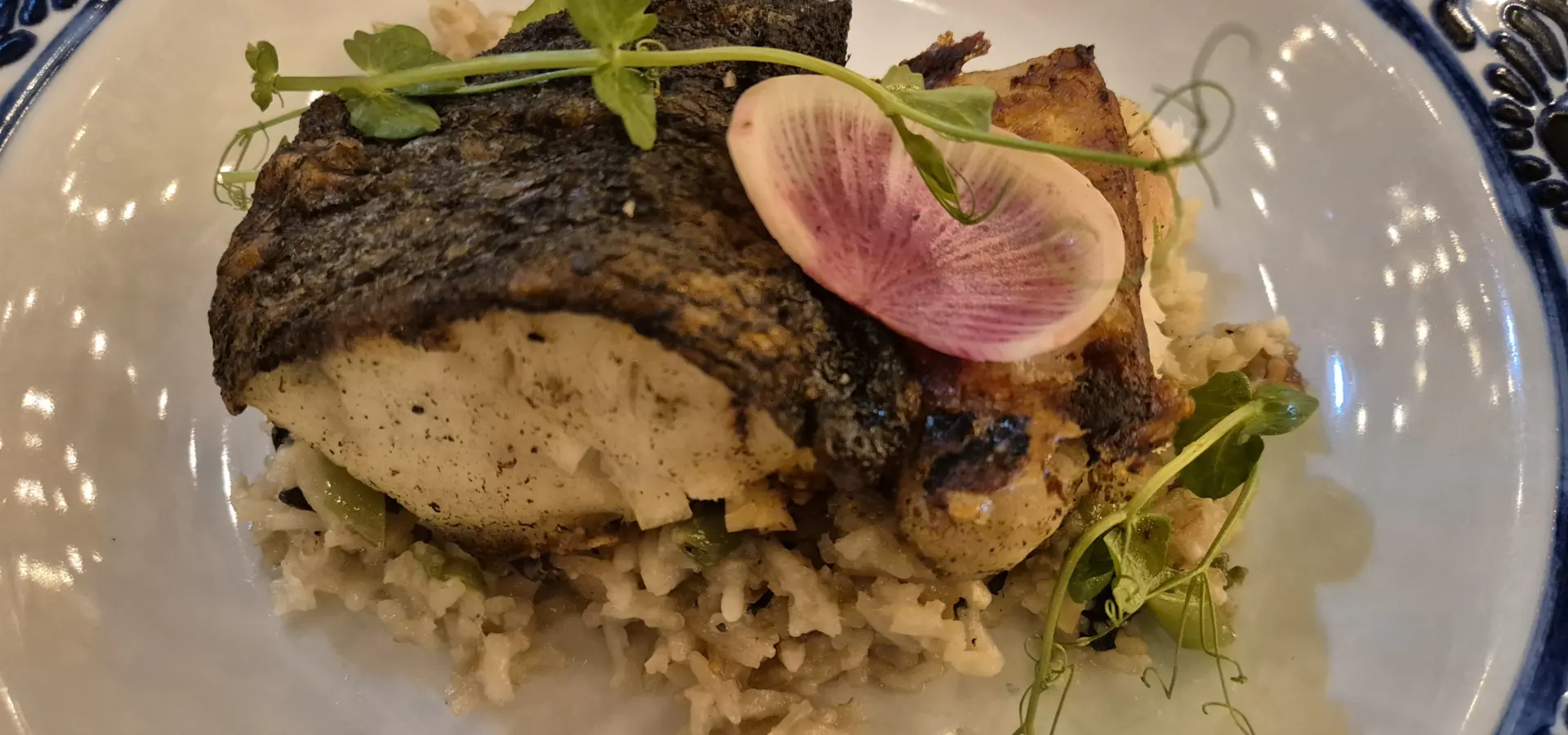 Avila Reizen Mexico Baja California Sur Tres Gallos culinair blog Ilse