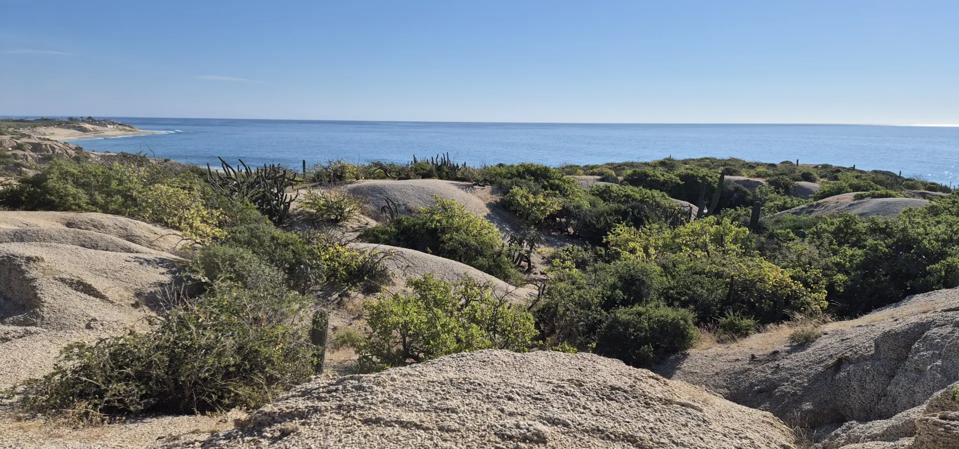 Avila Reizen Mexico Baja California Sur on route heen Cabo Pulmo blog Ilse