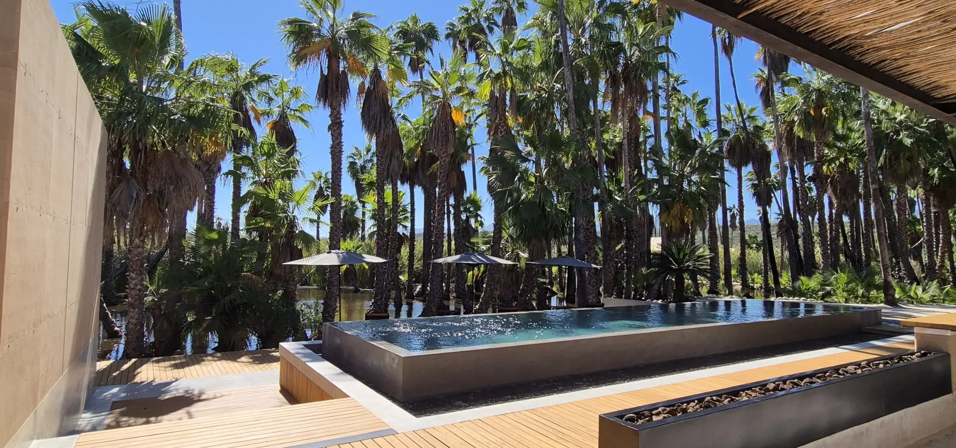 Avila Reizen Mexico Baja California Sur Amet blog Ilse