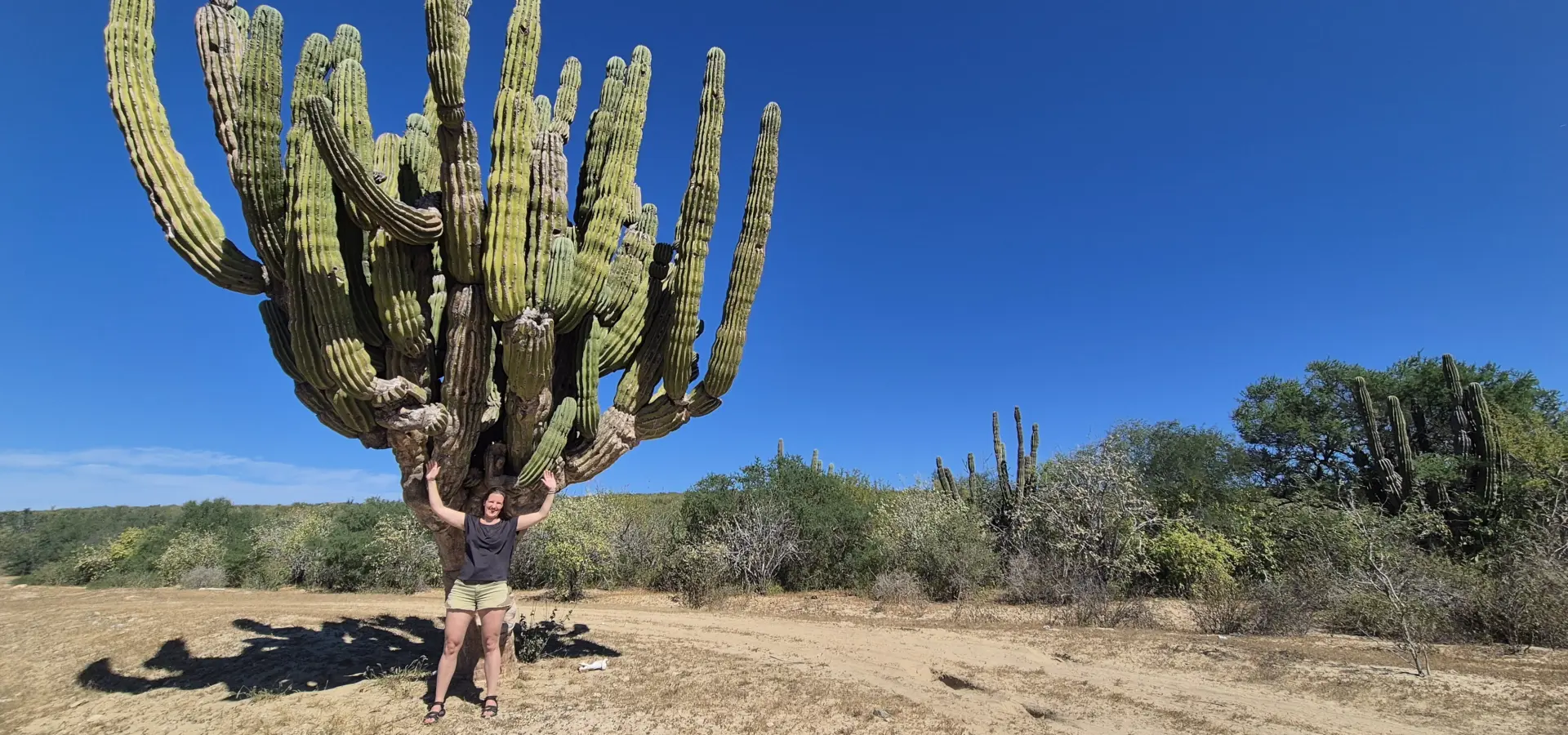 Avila Reizen Mexico Baja California Sur cactus met Ilse Avila Reizen Mexico Baja California Sur