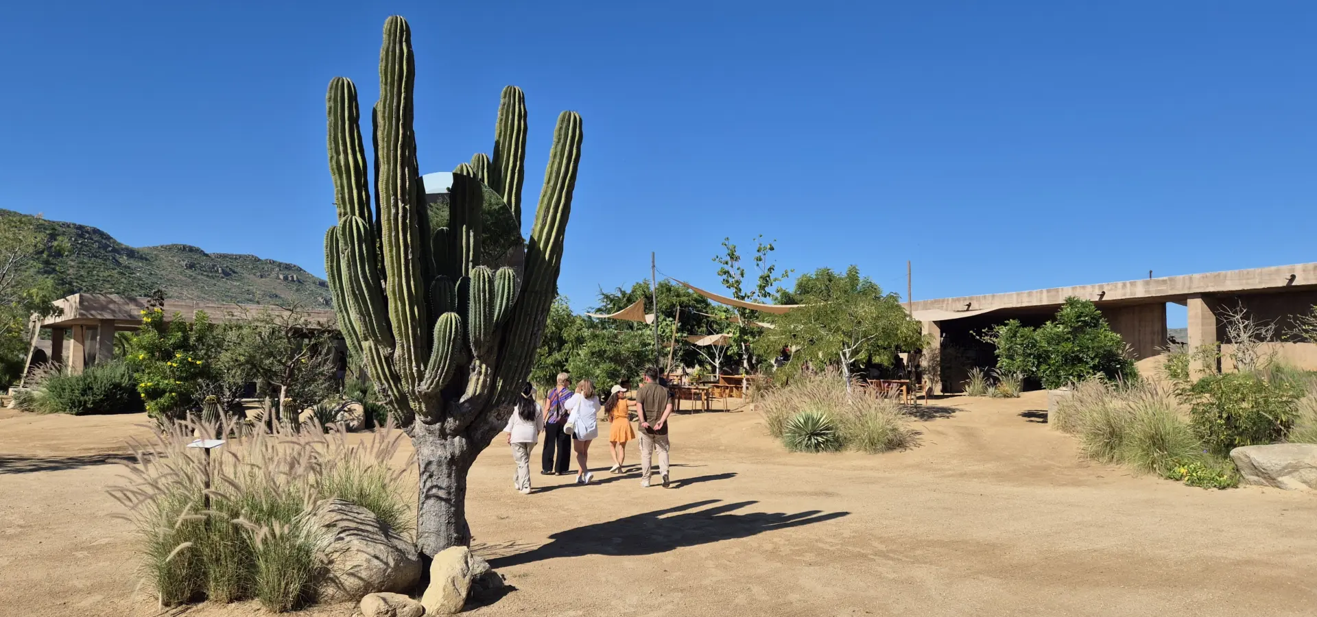 Avila Reizen Mexico Baja California Sur Paradero acco blog Ilse