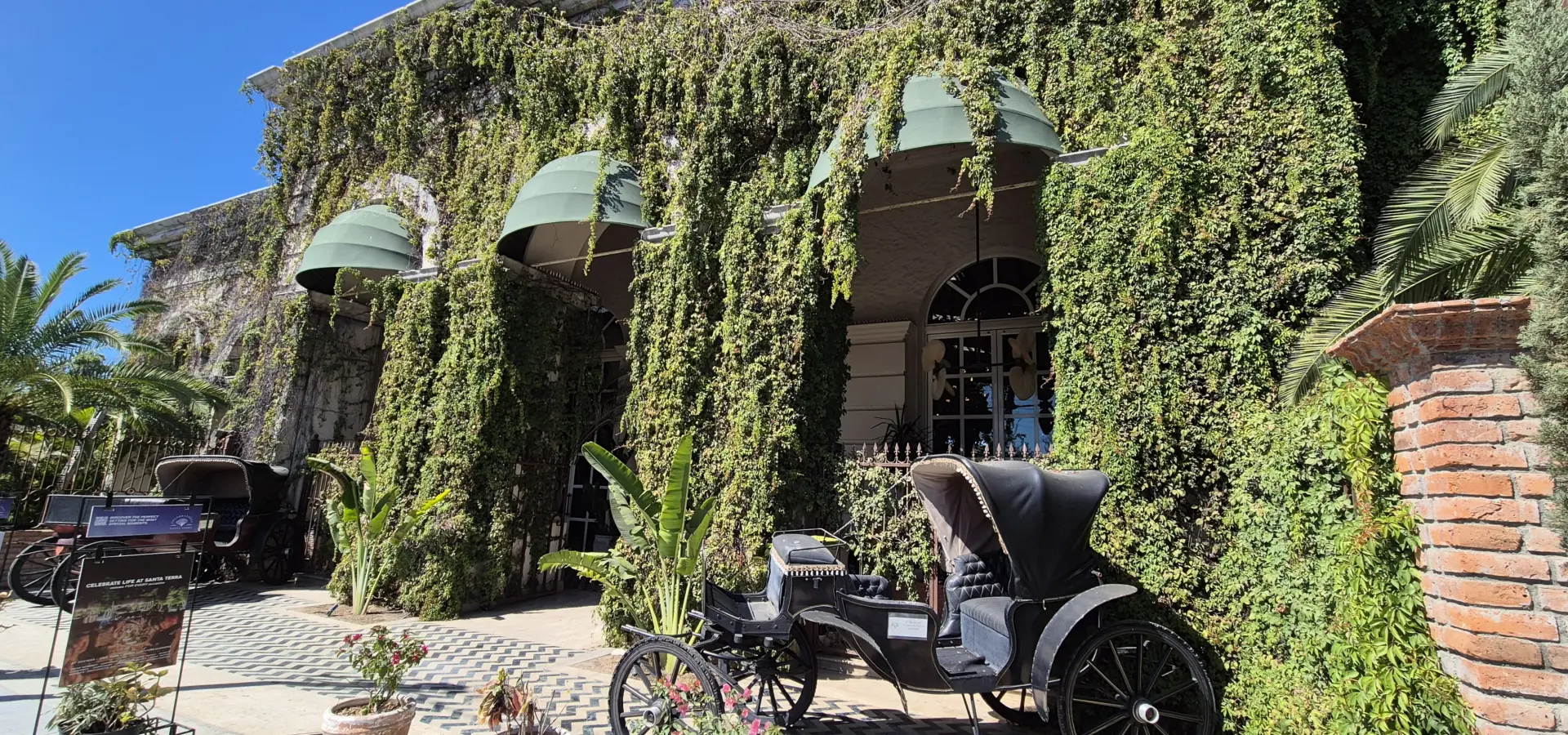 Avila Reizen Mexico Baja California Sur Santa Terra blog Ilse