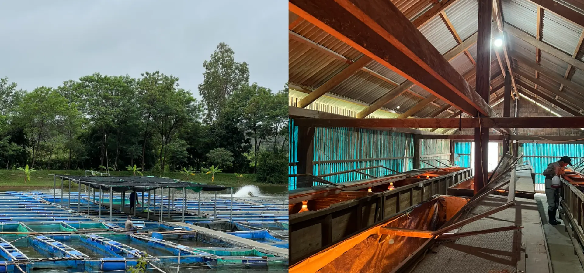 Avila Reizen Cambodja Farmhouse Smiling Gecko blog Maite