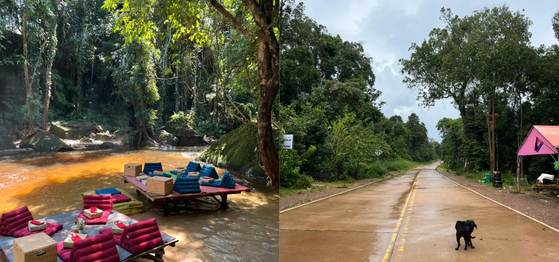 Avila Reizen Cambodja jungle hike 2 blog Maité