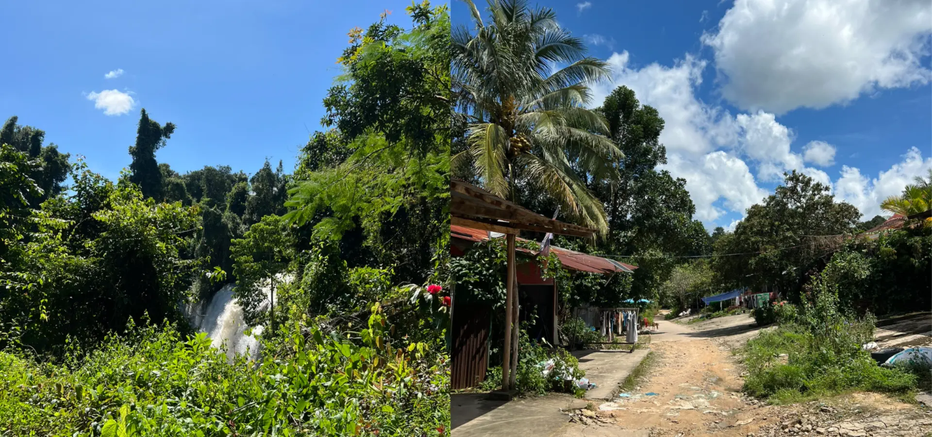 Avila Reizen Cambodja jungle hike blog Maité