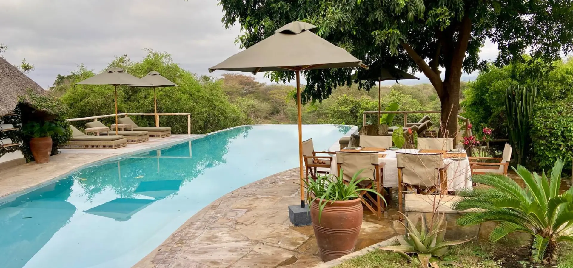 Avila Reizen Tanzania Mama Simba Arusha zwembad blog Ingrid Laba Laba