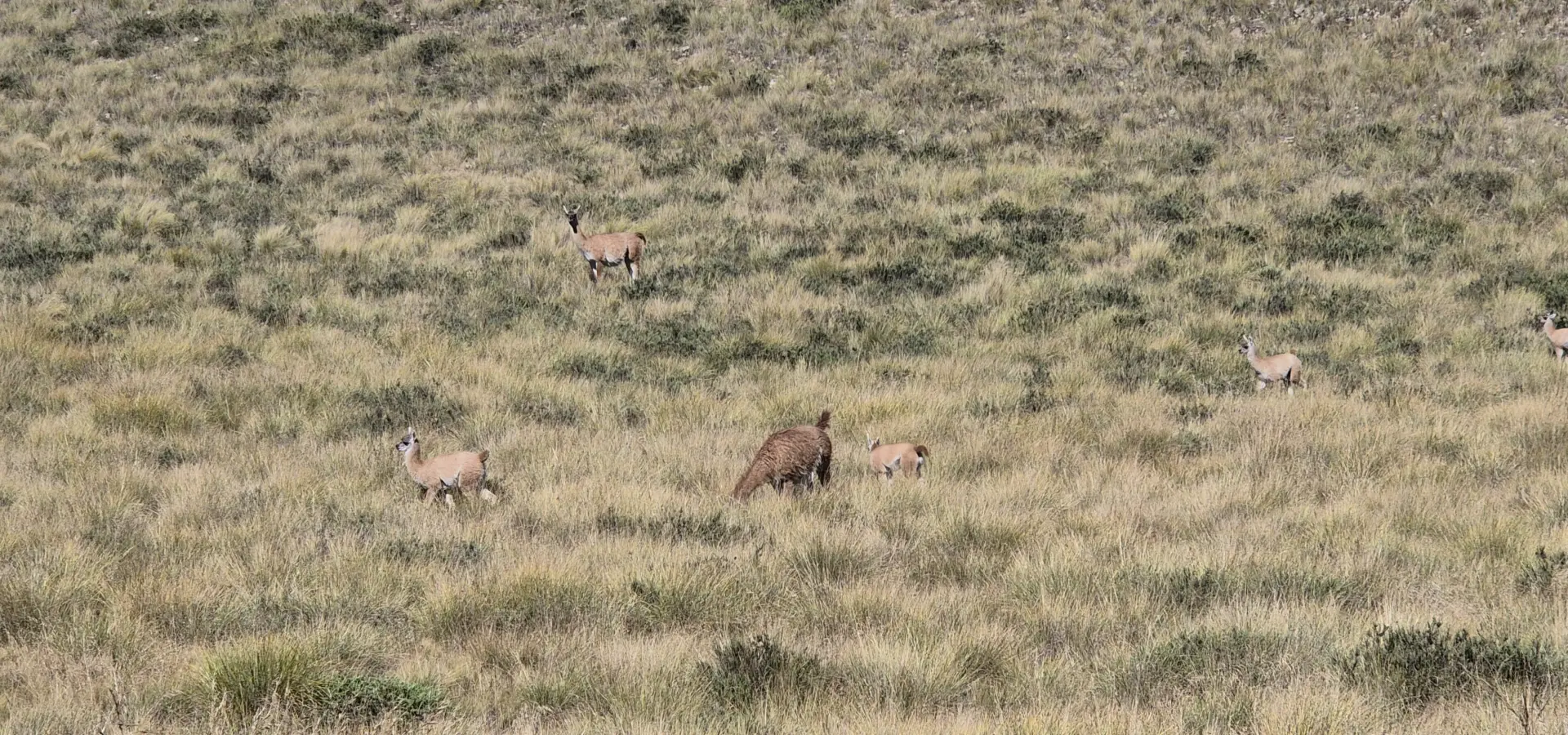 Avila Reizen Argentinië Noordwesten 6 blog Ilse dag 4