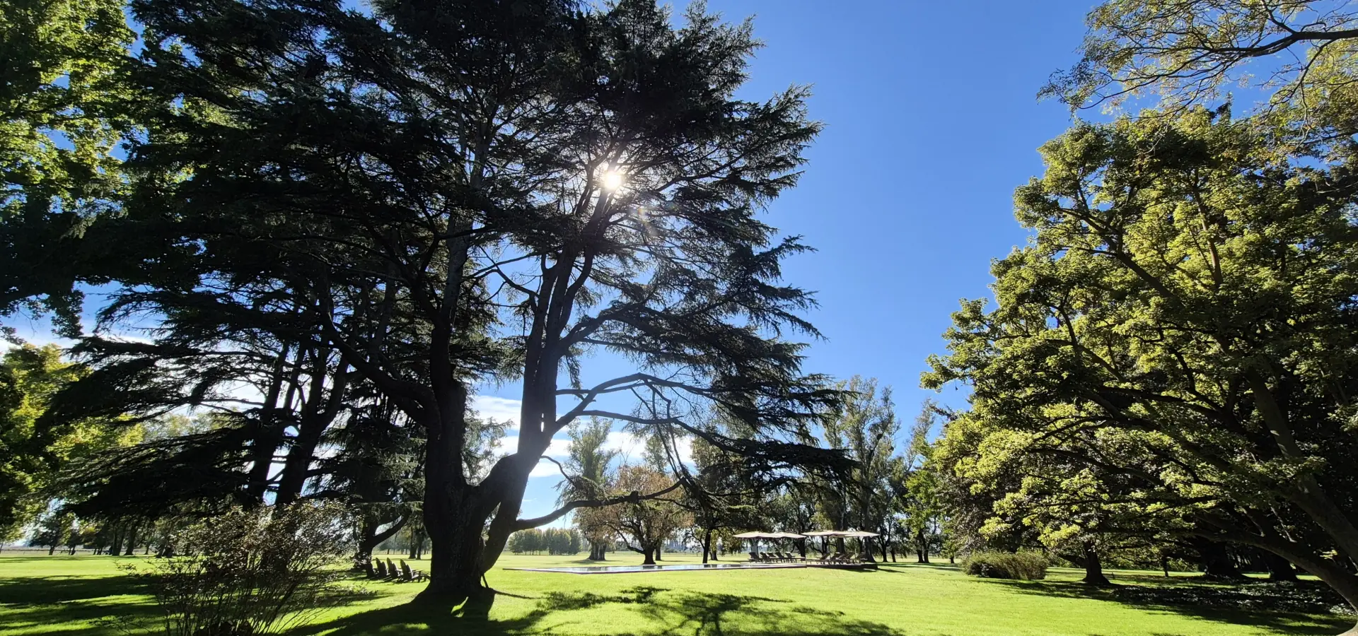 Avila Reizen Argentinië La Bamba de Areco blog Ilse