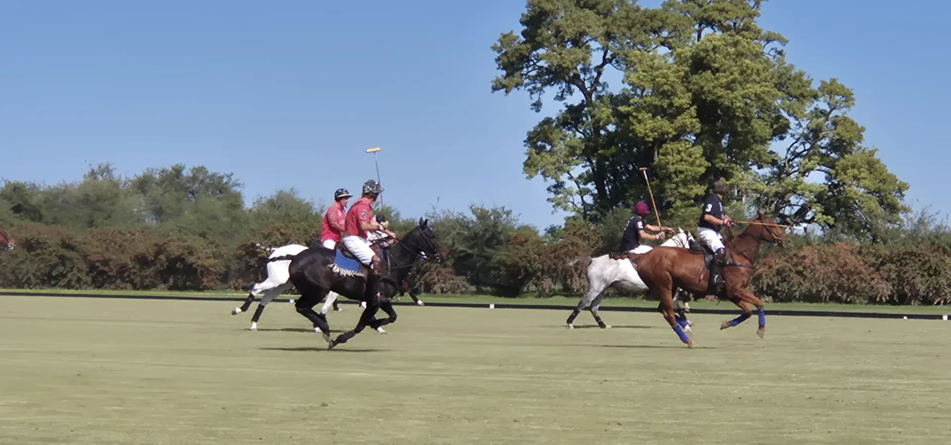 Avila Reizen Argentinië La Bamba de Areco 5 blog Ilse