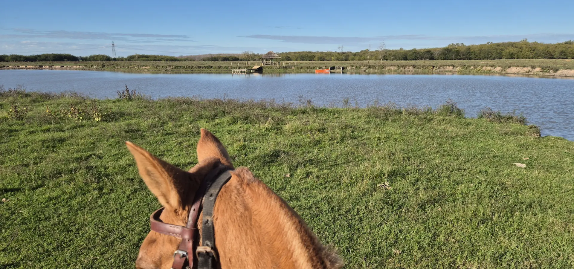 Avila Reizen Argentinië La Bamba de Areco 7 blog Ilse