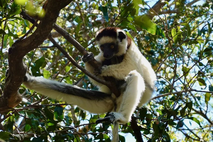 Arno Annemieke La Haye 2