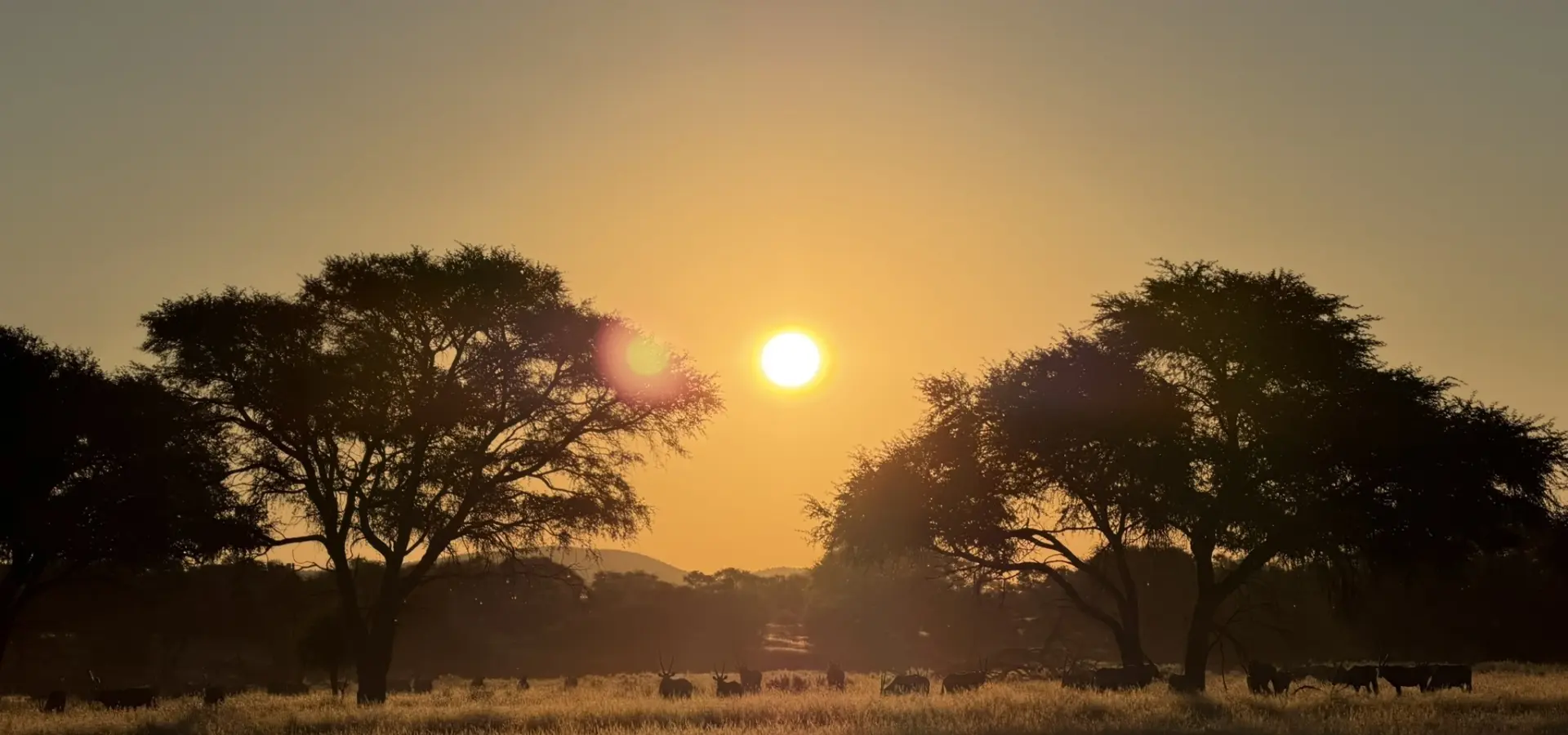 Avila Reizen Namibië blog Maité dag 2 5