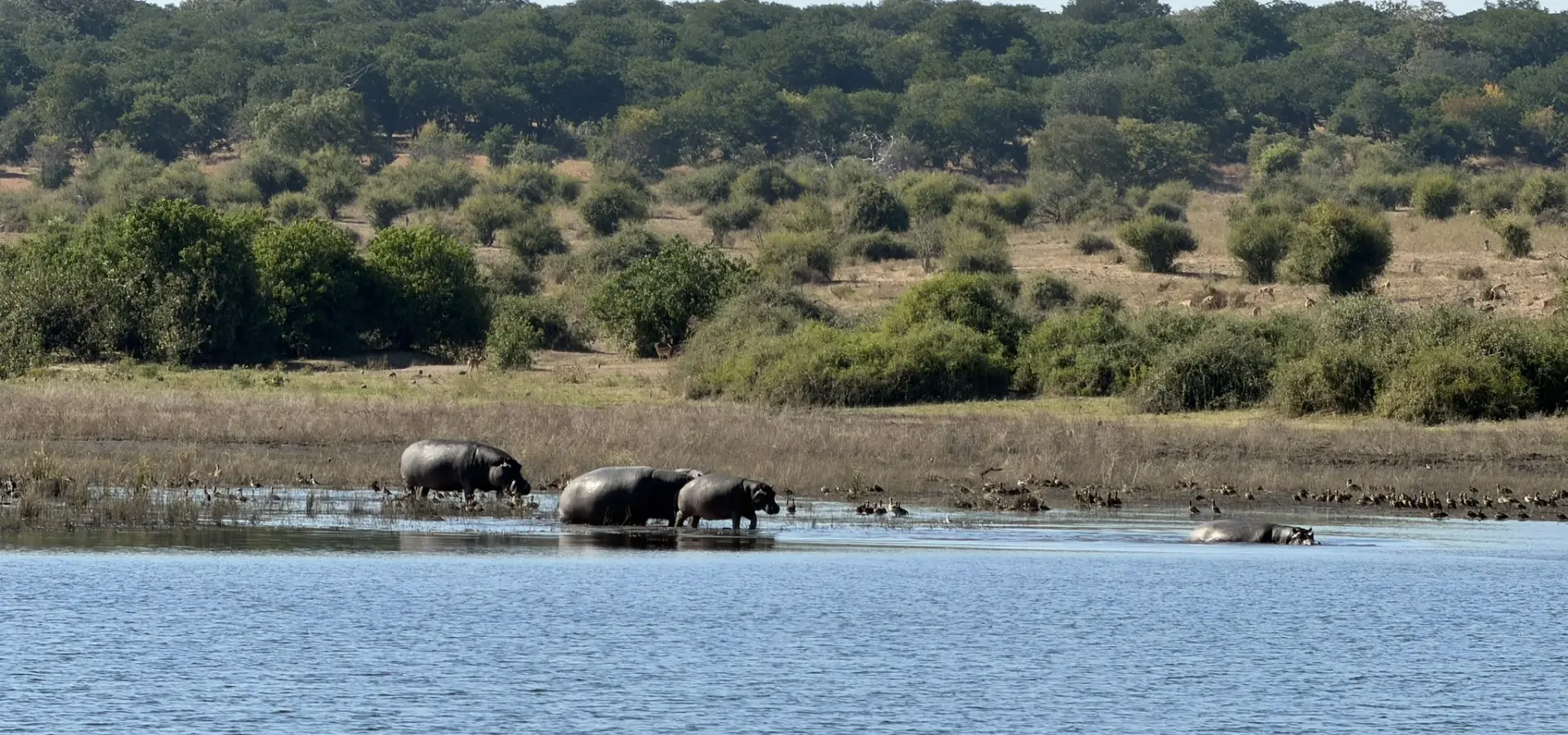 Avila Reizen Namibië blog Maité dag 4 3