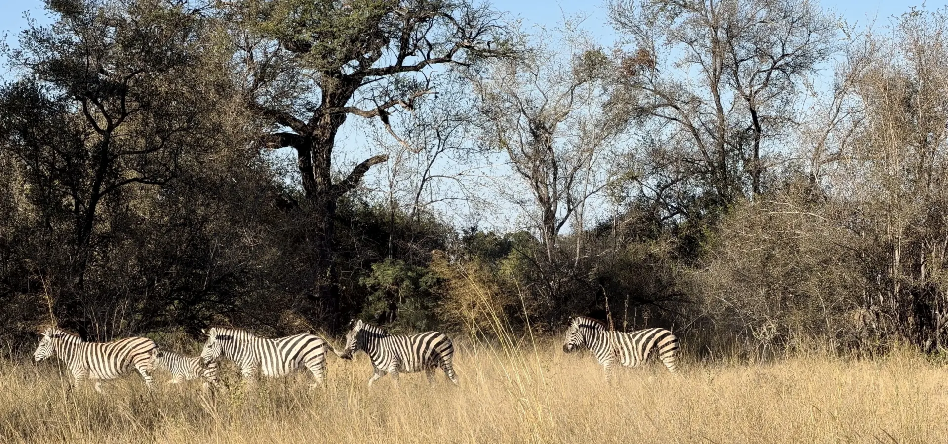 Avila Reizen Namibië blog Maité dag 7 5