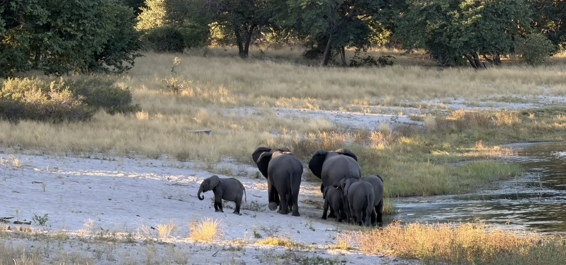 Avila Reizen Namibië blog Maité dag 7 6