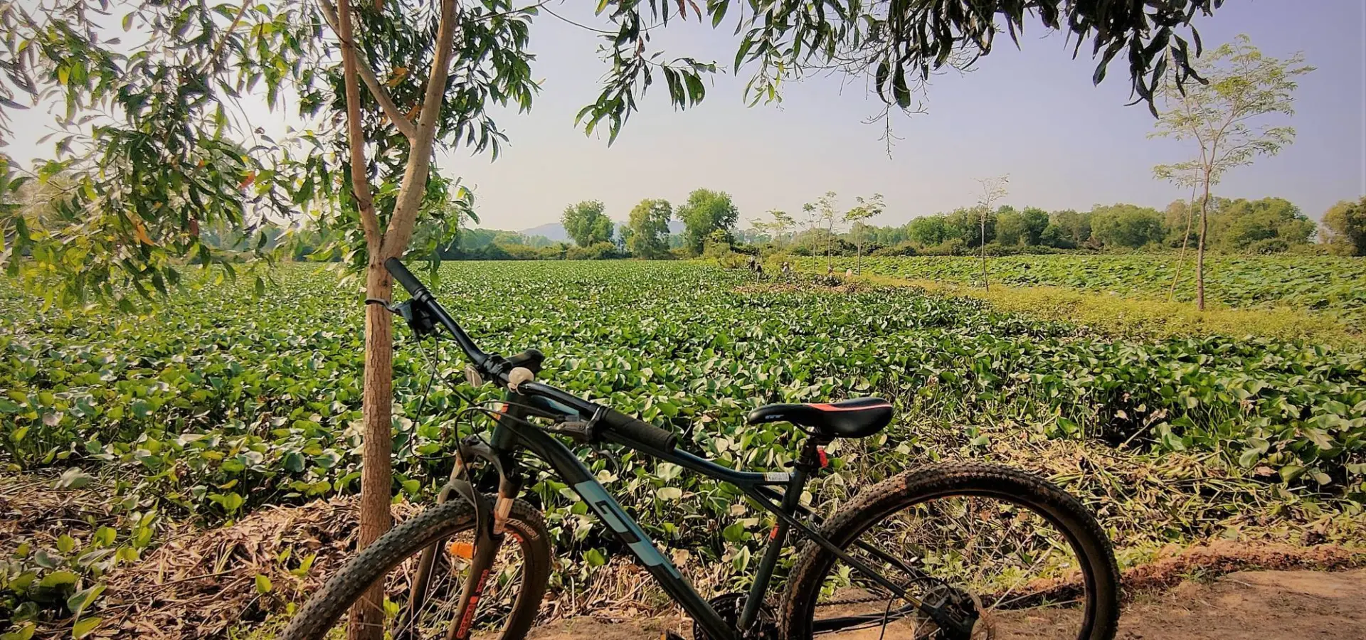 Cycling met Daniel