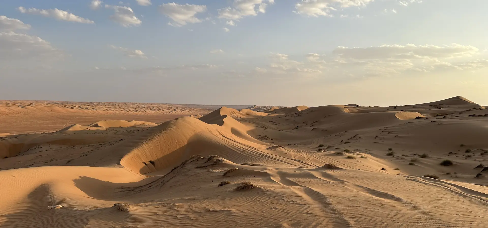 Avila Reizen Oman Sharqiyah Sands uitzicht over zandduinen blog Annemarie