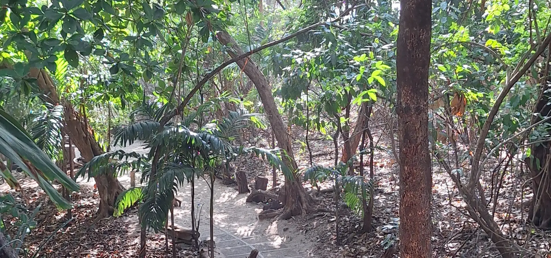 Avila Reizen Costa Rica Tamarindo La Senda organic garden Blog Merlijn