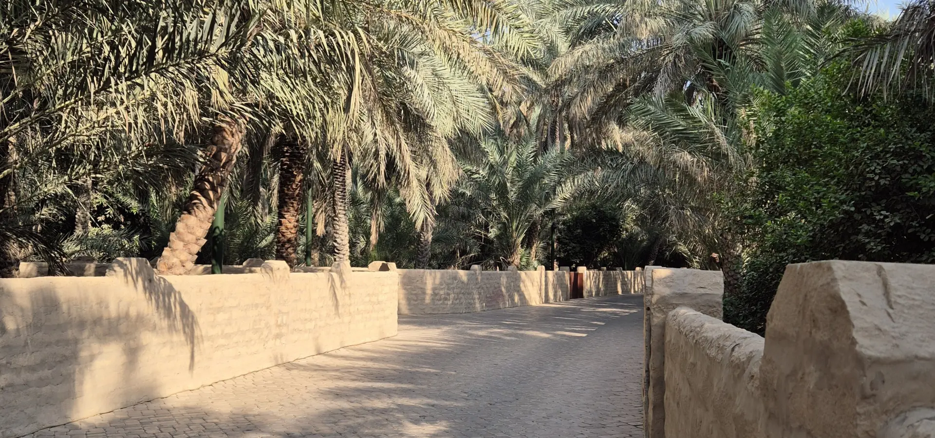 Avila Reizen Abu Dhabi Oasis Blog Mirna