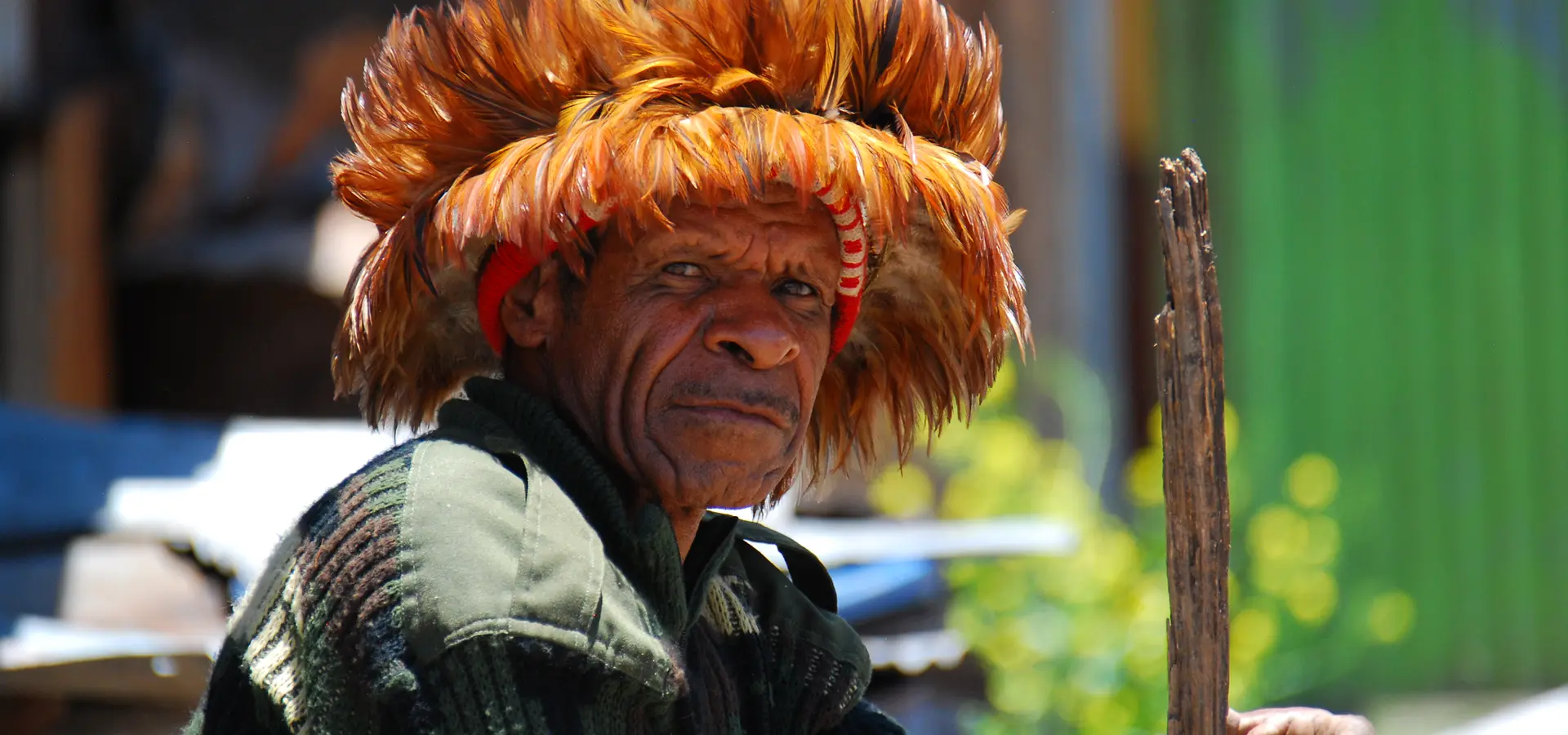 Avila Reizen Annemarie Interesse Papua