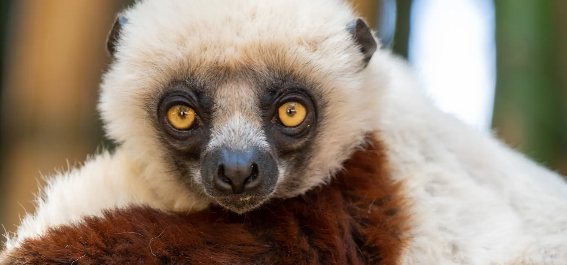 Avila Reizen Annemarie Madagaskar Interesse