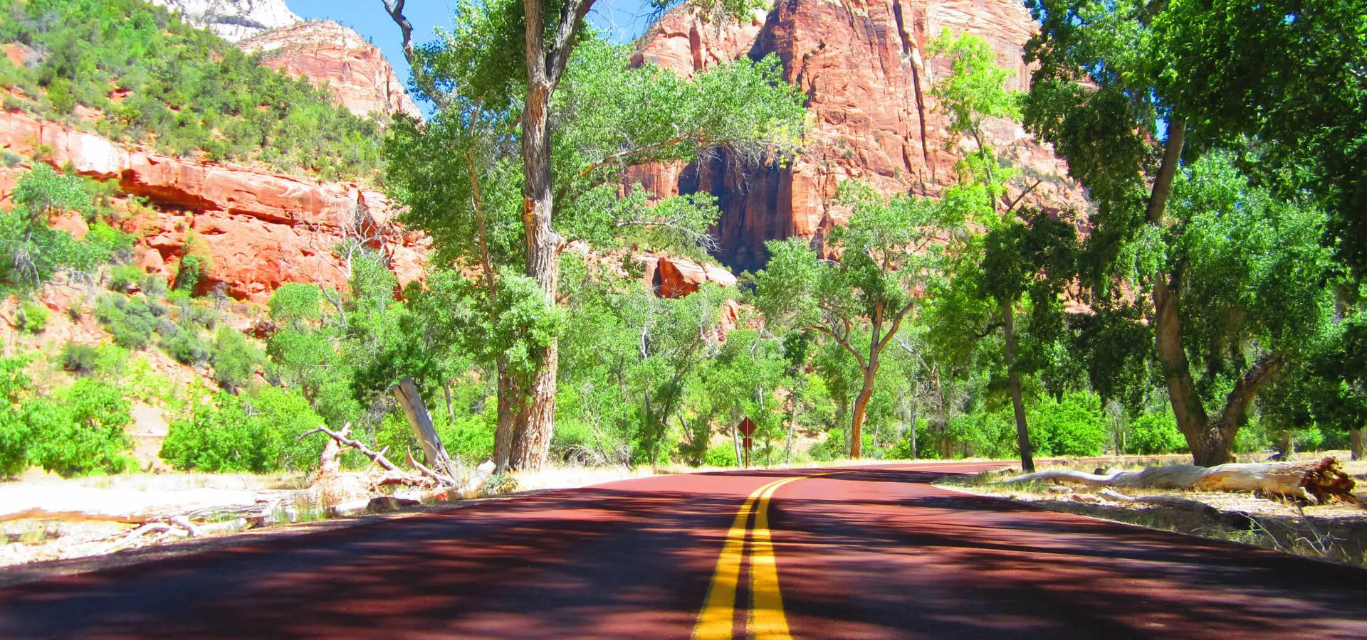 Avila Reizen Rianne interesse Zion NP
