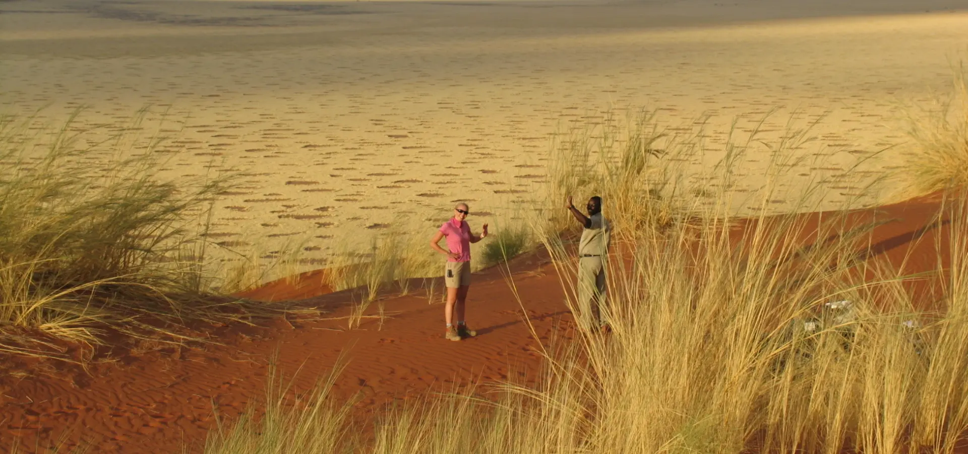 Wioletta inspiratie 2