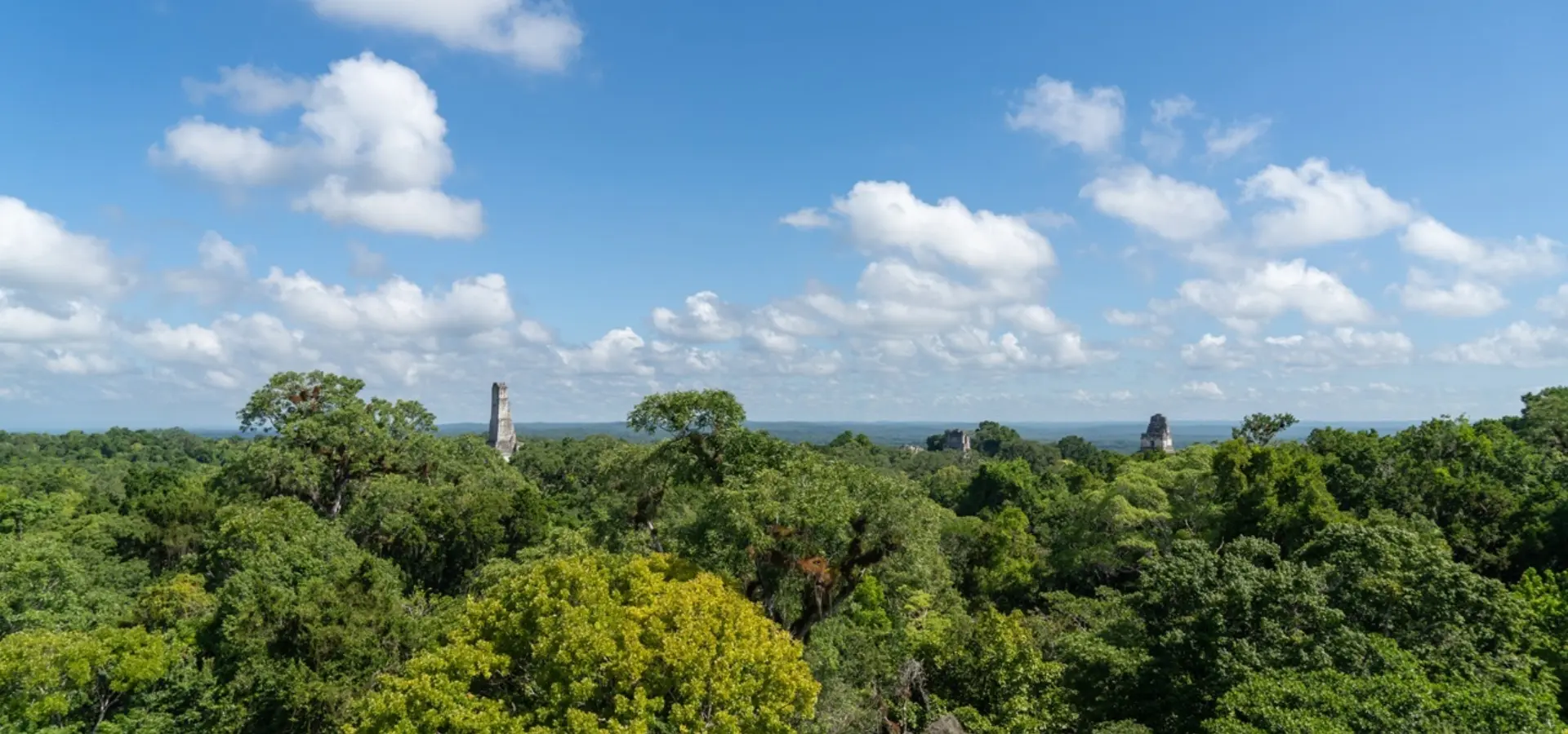 Avila Reizen Guatemala Tikal blog Annemarie