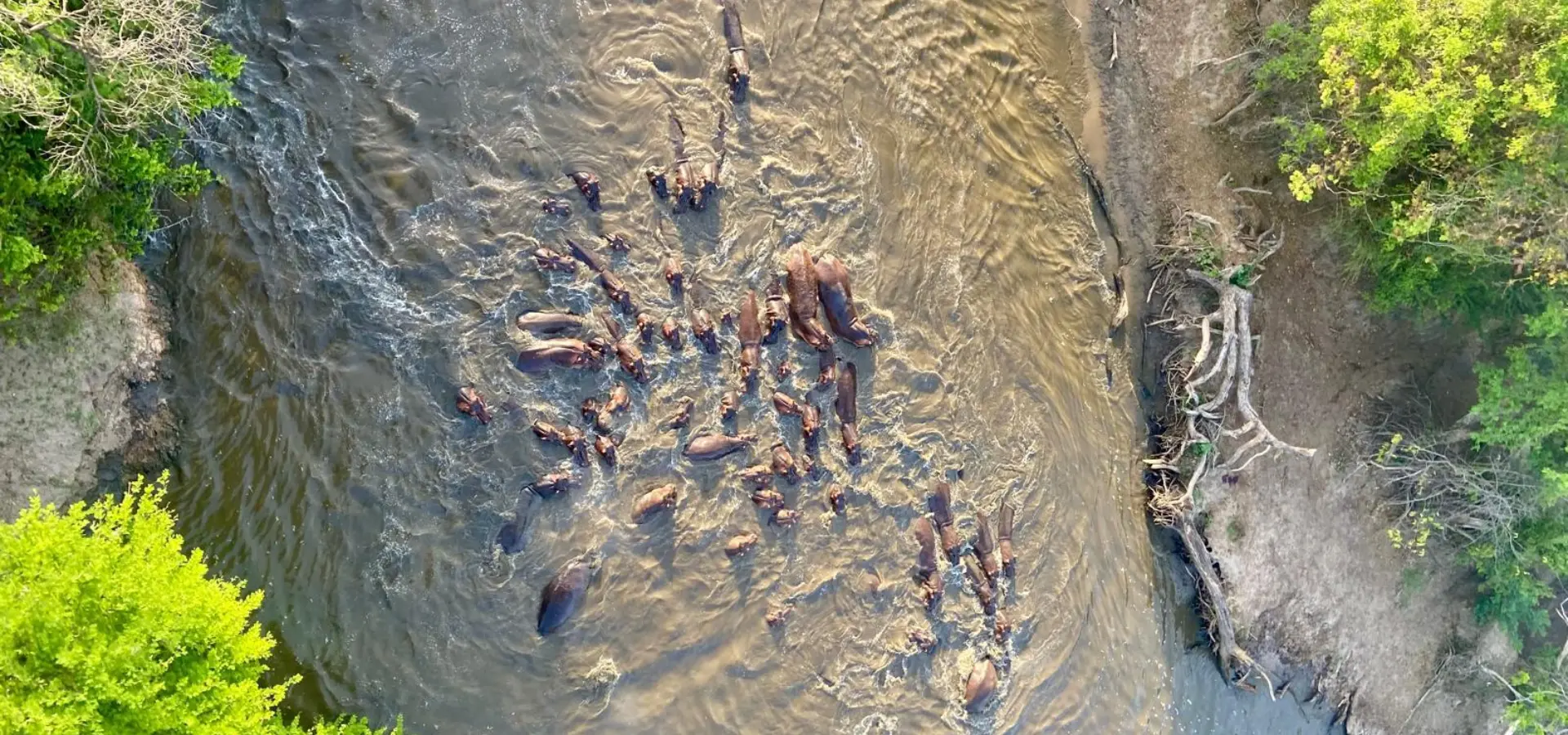 Avila Reizen Tanzania Grumeti Art Lodge ballonsafari blog Ingrid Laba Laba