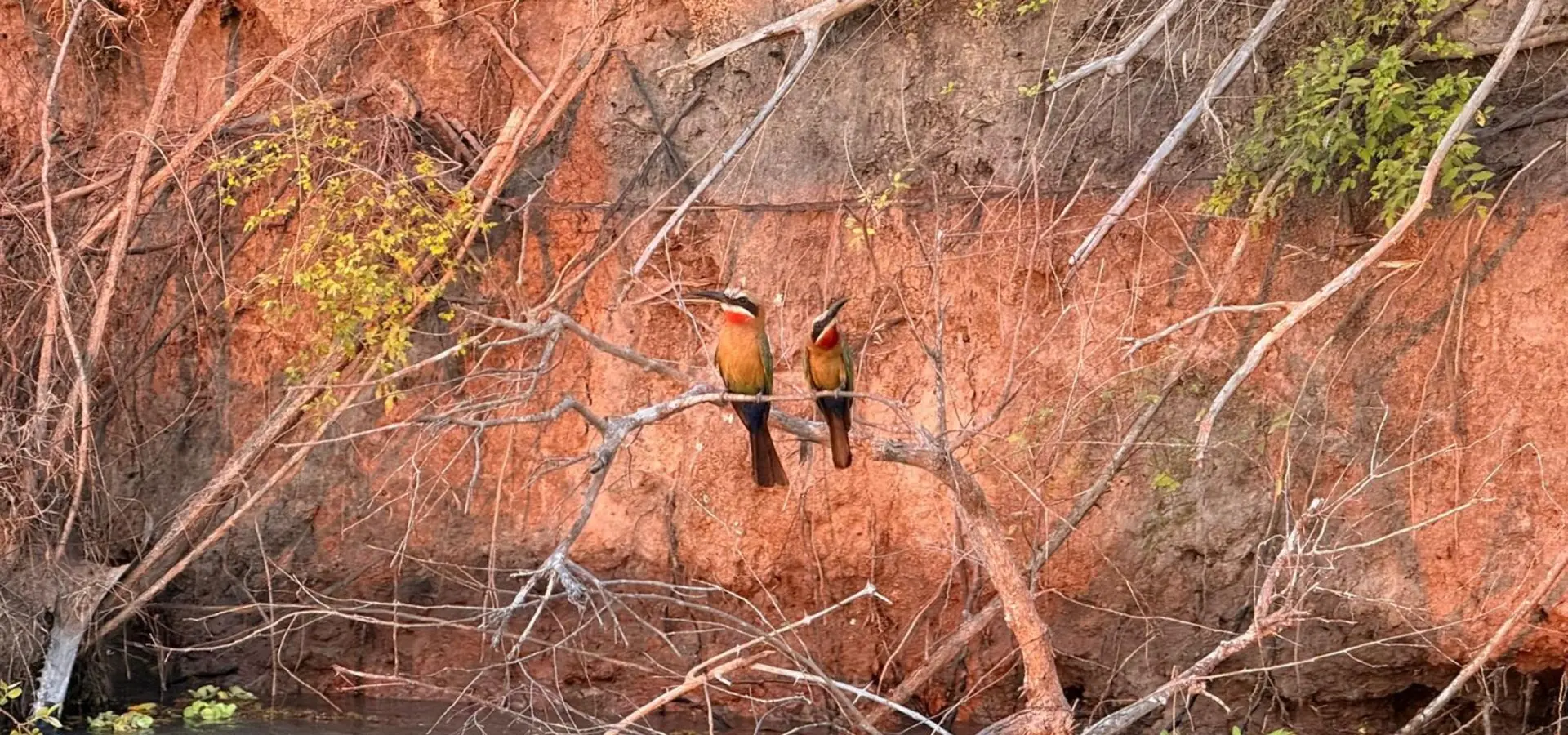 Avila Reizen Tanzania Nyerere Siwandu boot safari blog Ingrid Laba Laba