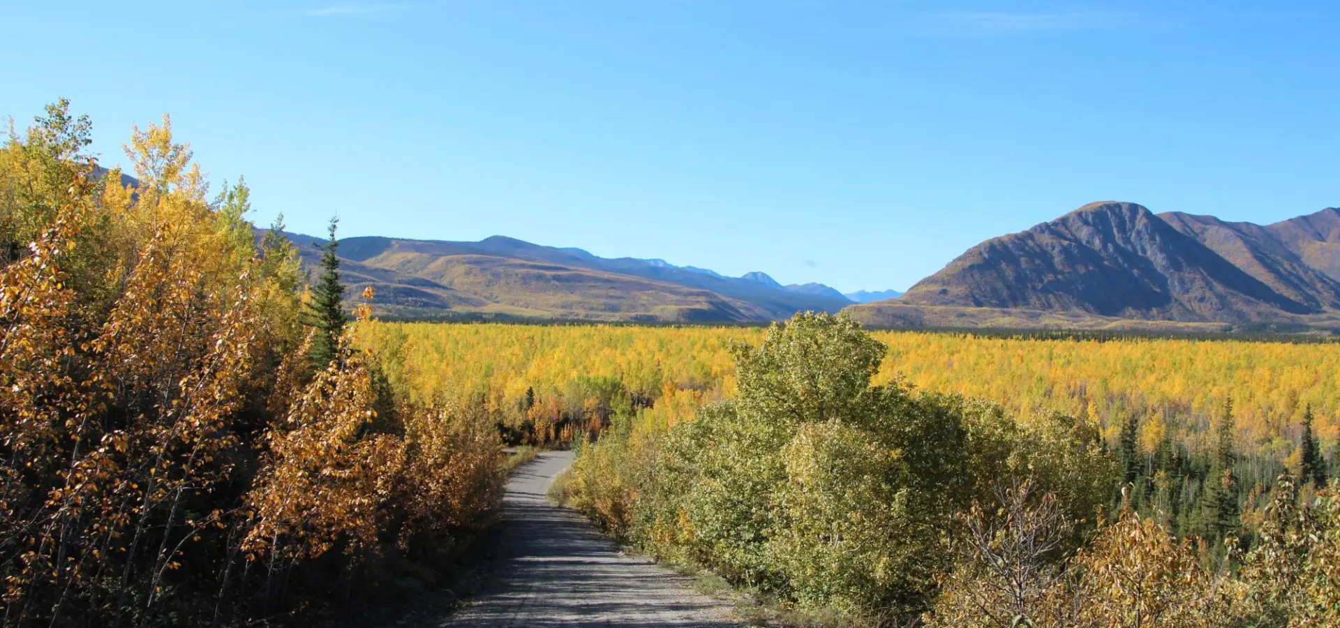 Yukon South Canol Road 2