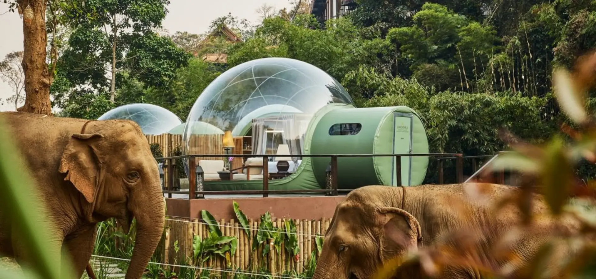 Anantara Golden Triangle Elephant Camp Resort
